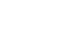 Consolidation financière, Reporting, Budget, CSRD, Lease, Business Plan